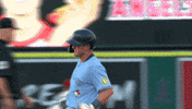 Celebrate Blue Jays GIF by Toronto Blue Jays