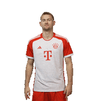 Matthijs De Ligt Football Sticker by FC Bayern Munich
