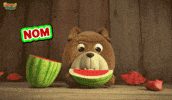Angry Nom Nom GIF by HangryPetz