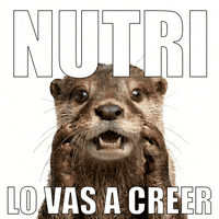 Nutria GIF by ecoembes