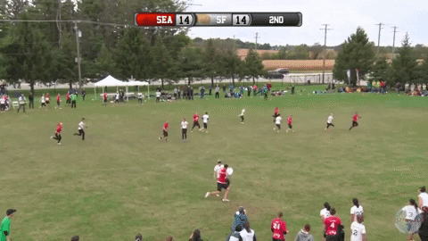 flikulti ultimate frisbee flik GIF
