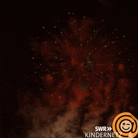 Celebrate Happy New Year GIF by SWR Kindernetz