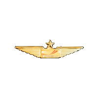 Wings Flying Sticker by Endeavor Air