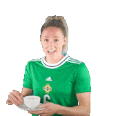 Irish Football Sticker by Northern Ireland