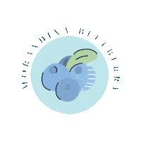 morandinaperu blueberry arandano morandina berry wine Sticker