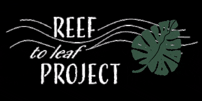 kekopro sustainable ecofriendly rlp motherearth GIF