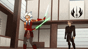Forces Of Destiny Teach You GIF by Star Wars