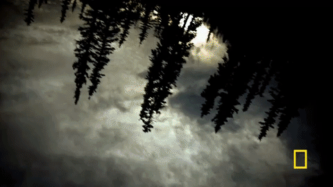 lifebelowzero GIF by National Geographic Channel