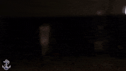 Christian Silva GIF by Navy Athletics