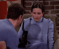 season 6 friends GIF