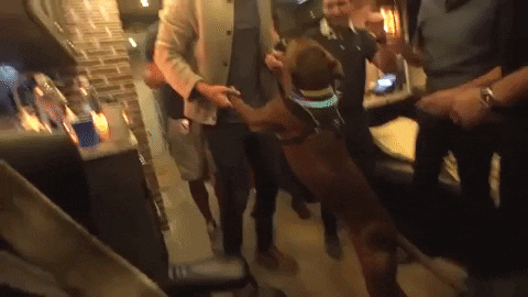 lovesomeone #bretteldredge #dog #edgar GIF by Brett Eldredge