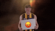 Afl Hawks GIF by Hawthorn Football Club