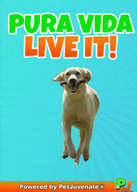 PetJuvenate petjuvenate henlo hooman fren love rescue dogs treatos and woofer for pupper GIF