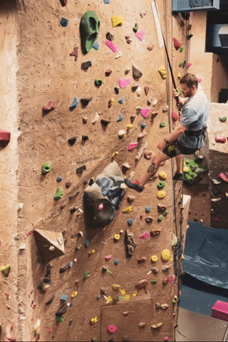 Pocofi giphyupload GIF