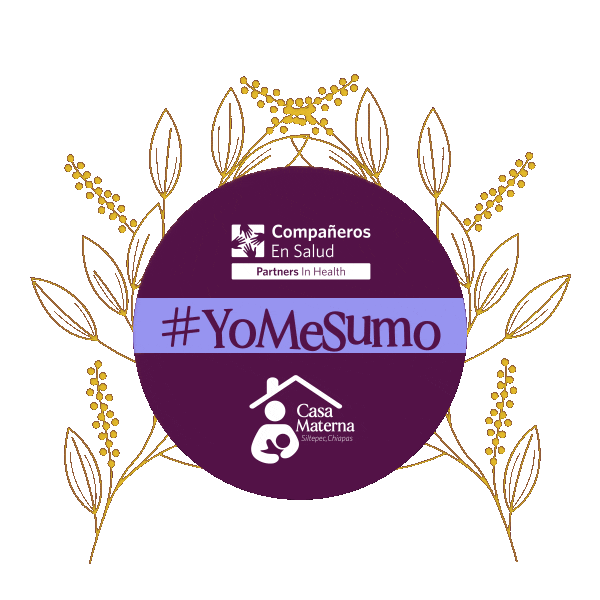 companerosensalud giphyupload Sticker