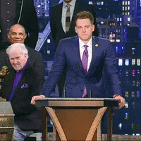 Ncaa Football GIF by LSU Tigers