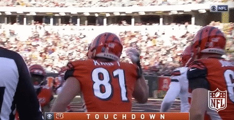 Cincinnati Bengals Football GIF by NFL