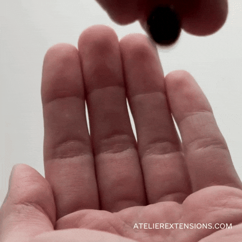 AtelierExtensions giphyupload GIF