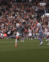 Football Championship GIF by West Bromwich Albion