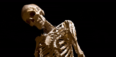 skeleton fop GIF by Mütter Museum