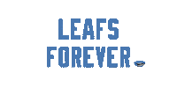 Toronto Maple Leafs Hockey Sticker by PUCKerUp Sports