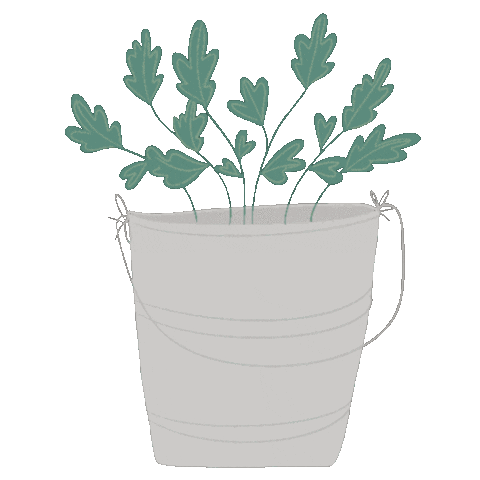 Summer Illustration Sticker