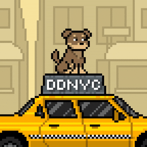 Happy The Big Apple GIF by Doginal Dogs