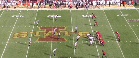 nfalato11 giphyupload GIF