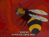 flying season 11 GIF