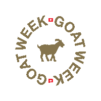 Blackfriday Sticker by LediBelle