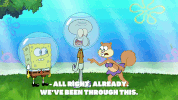 season 9 squid defense GIF by SpongeBob SquarePants
