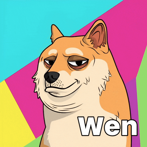 Shiba Inu Dog GIF by Doge Pound