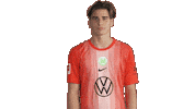 Happy Football Sticker by VfL Wolfsburg
