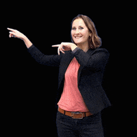 Hupenfidommakelaars makelaar kijk meppel kopen GIF