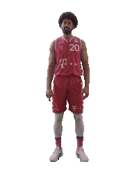 TelekomBaskets basketball swipe up up swipe Sticker