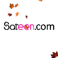 sateencom sateen sateencom Sticker