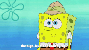 season 9 lost in bikini bottom GIF by SpongeBob SquarePants