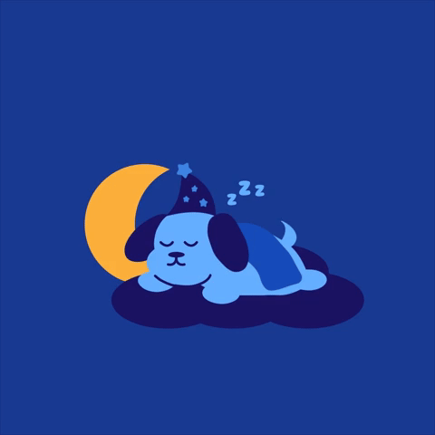 Sweet Dreams