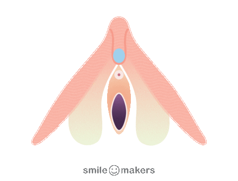 SmileMakersCollection giphyupload Sticker