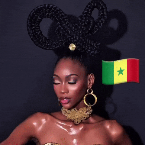 Diarry giphycreatortest senegal sénégal camilladiagne GIF