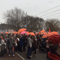 Women March Against Right-Wing Populism in Amsterdam