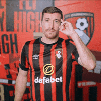 Football Celebration GIF by AFC Bournemouth