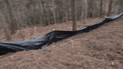Grading John Deere GIF by JC Property Professionals