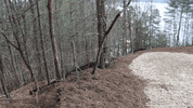 Grading John Deere GIF by JC Property Professionals