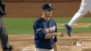 major league baseball sport GIF by MLB