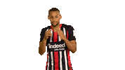 Eintracht Frankfurt Fighting Sticker by Bundesliga
