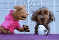 Mimos GIF by LIBERUM