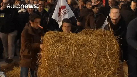 Macron Farmers GIF by euronews