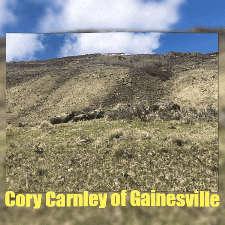 corycarnleygainesville giphygifmaker cory carnley of gainesville GIF