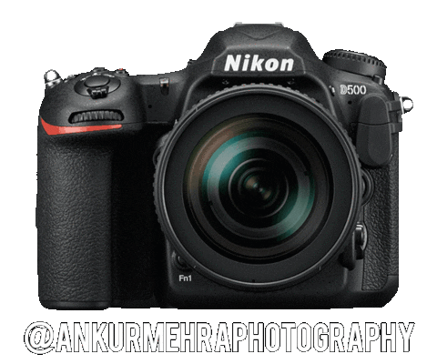 Nikoninstabadge D500 Sticker by NikonIndia